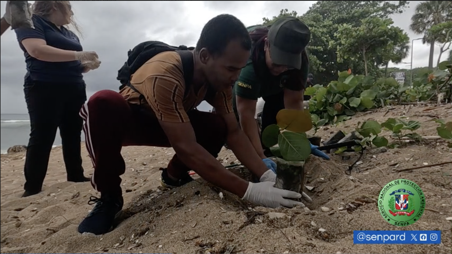 SENPA ORGANIZA JORNADA DE REFORESTACIÓN Y LIMPIEZA DE PLAYA CON UN ENFOQUE INCLUSIVO